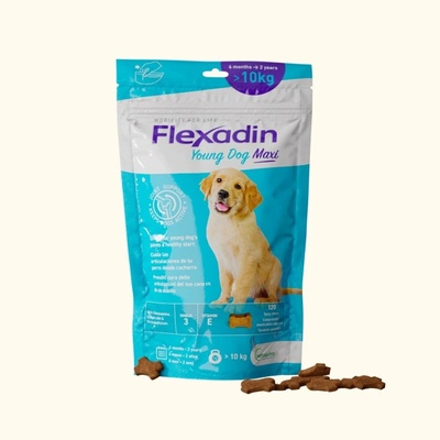Přírodní pamlsky Vetoquinol Flexadin pro štěňata 300 g