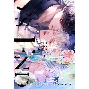 World's End Blue Bird 3 (ISBN: 9783551626257)