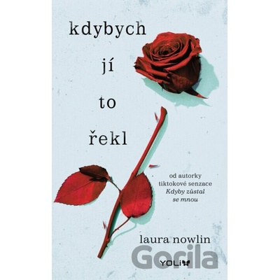 Kdybych jí to řekl - Laura Nowlin