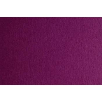 Fabriano Картон Colore, 70 x 100 cm, 200 g/m2, № 224, тъмнол (1530100086)