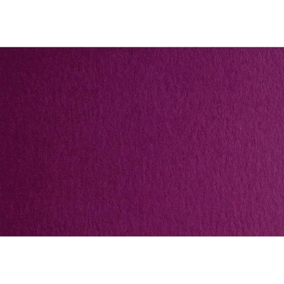 Fabriano Картон Colore, 70 x 100 cm, 200 g/m2, № 224, тъмнол (1530100086)