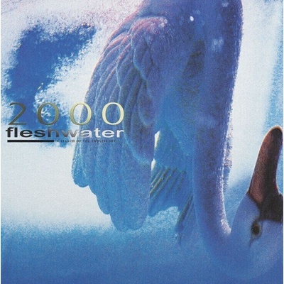 Fleshwater - 2000: In Search Of The Endless Sky (Indie Exclusive) (Pink Coloured) (LP) (0731851219852)