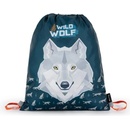 Karton P+P vlk 7-81222