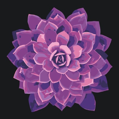 Vymalujsisam Malování podle čísel Fialová mandala