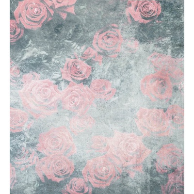 DIMEX MS-3-0377 vliesová fototapeta rozměry 225 x 250 cm