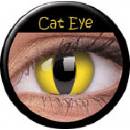 MaxVue Vision ColorVue Crazy Cat Eye šošovky trojmesačné dioptrické 2 ks