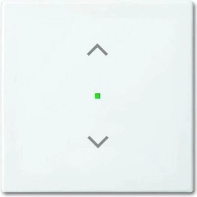 Busch-Jaeger 2CKA006220A0357