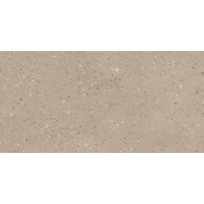 Atlas Concorde Solution Гранитогрес Atlas Concorde Solution Grain Terrazzo Ash 60x120 (HFVQ)