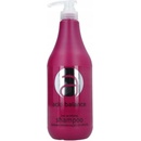Šampóny Stapiz Acid Balance Acidifying Shampoo šampón na poškozené barvené vlasy 1000 ml