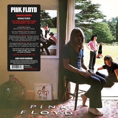 Pink Floyd - Ummagummma (2011 Remastered) (180 g) (2 LP) (825646493166)