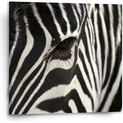 Sablio Obraz Detail zebra - 110x110 cm