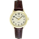 Timex T20071