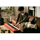 Casio CT S1
