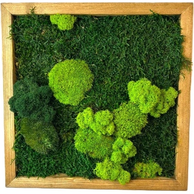 Machový obraz štvorec so stabilizovaným machom Veľkosť: 60x60cm