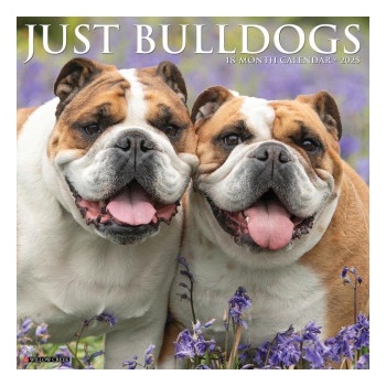 Willow Creek Press Calendars Bulldogs 2026 12 X 12 Wall Calendar