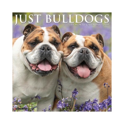 Willow Creek Press Calendars Bulldogs 2026 12 X 12 Wall Calendar | Willow Creek Press