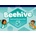 Beehive Level 5 Teacher's Resource Pack