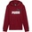 PUMA Ess + 2 col big logo hoodie fl b 128
