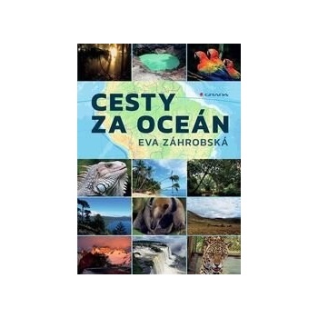 Cesty za oceán