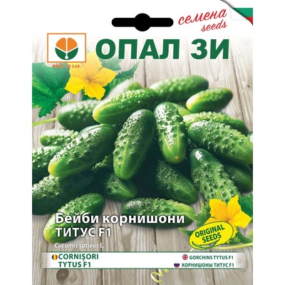 Opal Zi Бейби Корнишони Титус f1