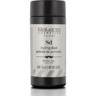Salerm Homme matující pudr pro objem 10 g