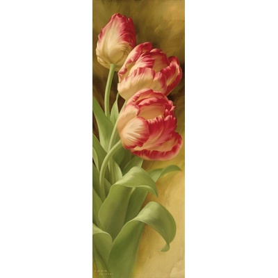 Tulipány 1 1 deska 30x90