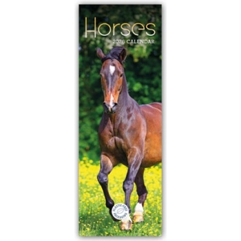 Browntrout Verlags GmbH Horses - Pferde 2026 - Slimline-Kalender | Carousel Calendar