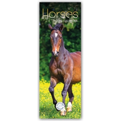Browntrout Verlags GmbH Horses - Pferde 2026 - Slimline-Kalender | Carousel Calendar