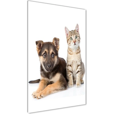 Vertikálny foto obraz sklenený Pes a mačka 50x100 cm