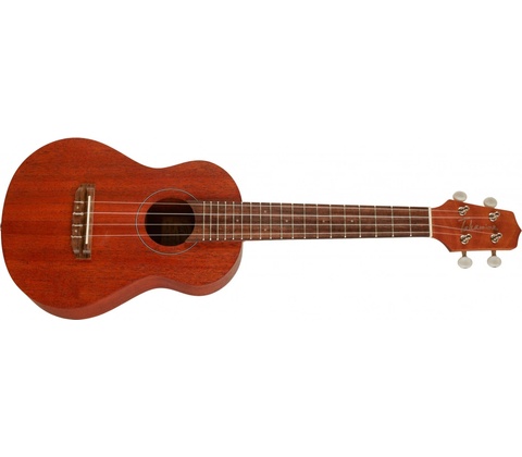 Takamine EGU-C1