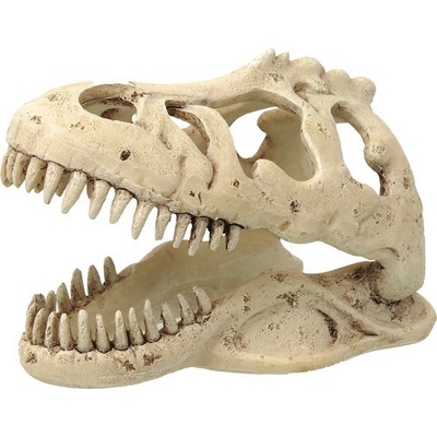 Repti Planet T-Rex lebka 13,3x8,5x9 cm – Zbozi.Blesk.cz