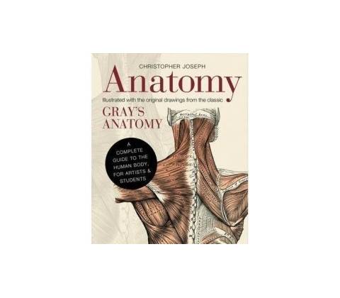 Anatomy - Joseph Christopher