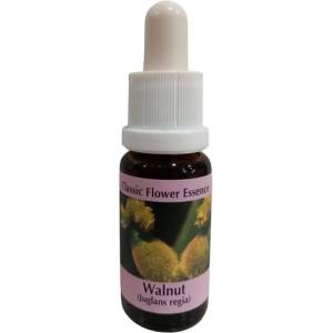 PHI Essences При промяна - Есенция Орех № 33, капки 15 ml (33 CLASSIC)