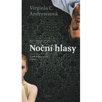 No ční hlasy