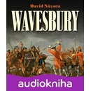 Wavesbury - David Návara
