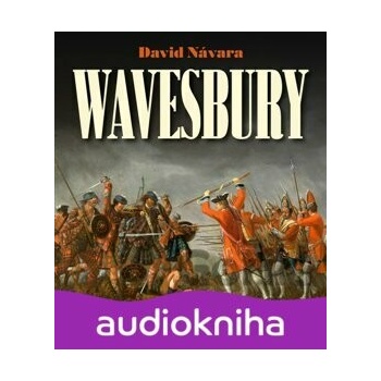 Wavesbury - David Návara