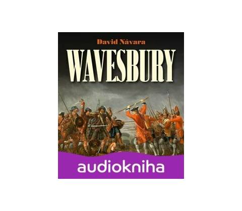 Wavesbury - David Návara
