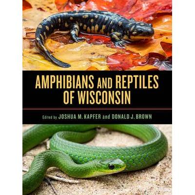 Amphibians and Reptiles of Wisconsin | Donald J. Brown