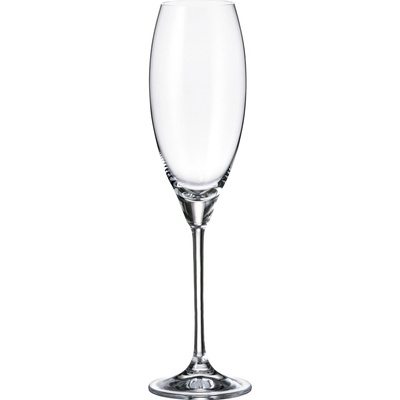 Crystalite Bohemia poháre na šampanské Carduelis 6 x 290 ml