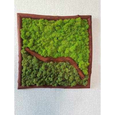 Dvoubarevný mechový obraz 62cm x 62cm