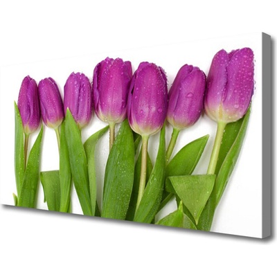 Obraz na plátně Tulipány Květiny Rostlina 100x50 cm