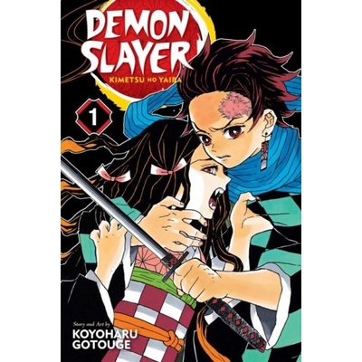 Demon Slayer: Kimetsu No Yaiba, Vol. 1 Gotouge KoyoharuPaperback