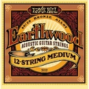 Ernie Ball 2012