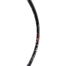 Alexrims DP17 Disc