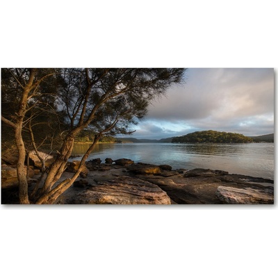 Foto obraz fotografie na skle Strom nad riekou 100x50 cm