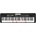 Casio LK S250