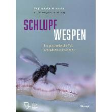 Schlupfwespen