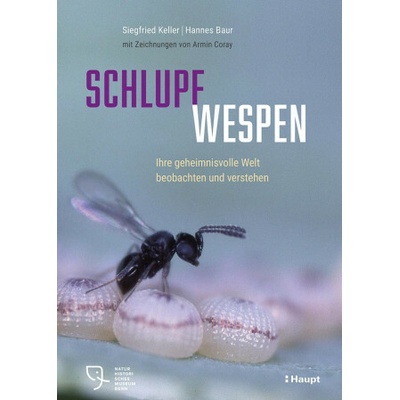Schlupfwespen