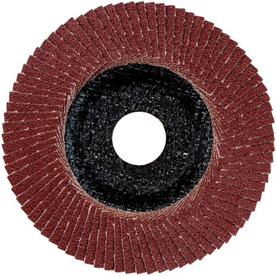 Metabo Lamelový brúsny kotúč 22.23 mm 624391000 10 ks
