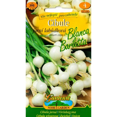 Gardenie Cibule jarní bílá lahůdková BLANCA BARLETTA, semínka